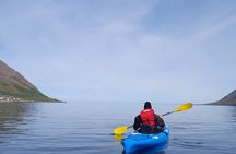 Guided kayak tour in Siglufjörður / Siglufjordur.