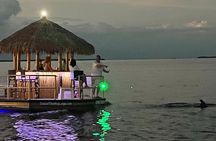 Cruisin' Tikis Key Largo - Sunset Cruise (Private)