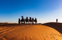 Red Dune Desert Safari with Live Shows and BBQ Dinner