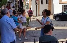 Guided tour of Ronda with an official guide