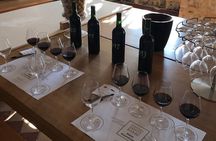 Blending workshop and tour of the chateau
