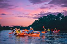 Evening Bali Mangrove Canoe Tour