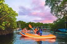 Evening Bali Mangrove Canoe Tour