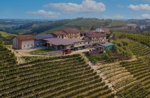 2 Hours Guided Tour and Wine Tasting in the Heart of Roero