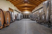 2 Hours Guided Tour and Wine Tasting in the Heart of Roero