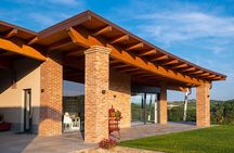 2 Hours Guided Tour and Wine Tasting in the Heart of Roero