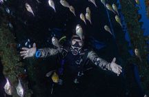 Fun Dive With Scuba Point in Los Cristianos