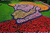 Private Flower Tour to the Keukenhof