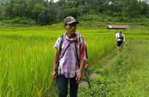 One day hiking tour in Chiang Mai