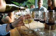 Santiago de Compostela: Cheese and Wine Tasting Experience