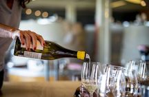 Santiago de Compostela: Cheese and Wine Tasting Experience