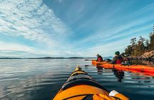 2 Hour Evening Adventure Kayaking Tour