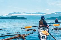 2 Hour Evening Adventure Kayaking Tour