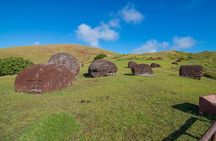 King's Scouts Guardians of Paradise: Half Day
