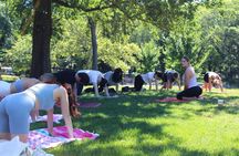 Central Park Yoga Class