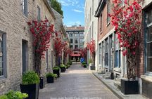Old Montreal: Private History Walking Tour with Tastings