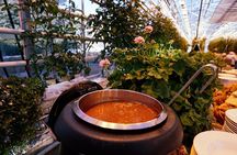 Golden Circle with Tomato Farm Lunch & Secret Lagoon Bathing