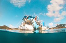 Port Stephens: Splash 'n' Slide Dolphin Cruise
