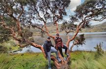 Cuenca to Guayaquil one-way tour with Cajas Park and a Cacao Farm visit