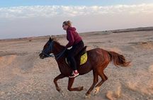 Horseback Riding Tour Desert & Beach at Nabq bay - Sharm ElSheikh