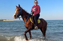 Horseback Riding Tour Desert & Beach at Nabq bay - Sharm ElSheikh