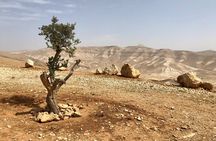 Travel To Jericho & Jordan River Half Day Tour From Jerusalem