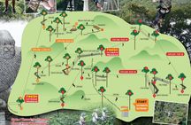 Chiang mai Private Tour Zipline Mae Kam Pong and Nature Hotspring