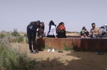 2 Day 1 night Bahariya Oasis Camp and Desert Tour from Cairo 