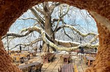 Bursa & Uludag Nature Tour with Lunch Cable Car and Pick Up