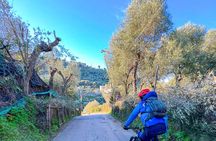 Oil and Lemon - Sorrento e-Bike Tour Experience