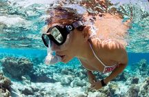Snorkeling Tour