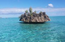 Mauritius : Dolphins Swim and Ile Aux Bénitiers with BBQ