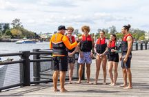 Don't just Visit Brisbane - Experience our Moreton Bay Safari