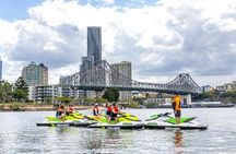 Don't just Visit Brisbane - Experience our Moreton Bay Safari