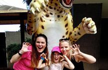 Private Family Fun with Kids tour in Rio: Including the Christ 