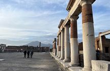 Full Day Private Tour to Pompeii, Herculaneum and Oplontis