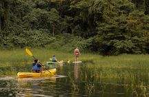 Discover the Beauty of Arenal Lake on a Guided Kayaking Tour