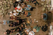 Private Tour one day of Adventure in Tequila and Tequilera Cascahuin
