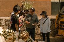 Private Tour one day of Adventure in Tequila and Tequilera Cascahuin