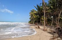 Palomino Horseback Riding Tour