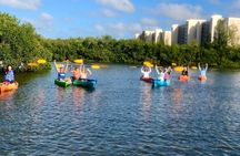 Siesta Key Guided Eco Tour