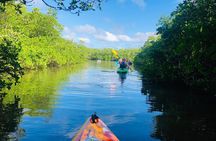 Siesta Key Guided Eco Tour
