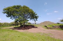 Private One Day Tour in Los Guachimontones and José Cuervo Tequila