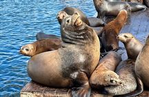 Glass Bottom Boat Ride in Redondo Beach