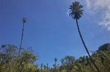 Chingaza, The Mountain of Water: Tour from Bogota