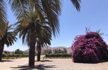 Private Tour to Viña Santa Rita
