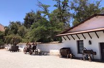 Private Tour to Viña Santa Rita