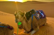 5 Day Desert Tour from Marrakech to Tangier Fes and Chefchaouen 