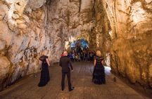 Waitomo Glowworm Caves - Private Tour From Auckland