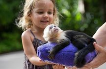 Guided Jungle Adventure with Gatun Lake Cruise
